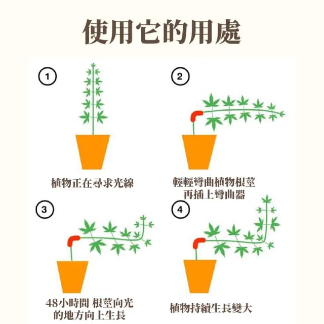 90度植物彎曲器10入(不傷植物 訓練器 植物生長 盆栽 盆景 果樹 彎枝器 園藝工具 植物固定器)