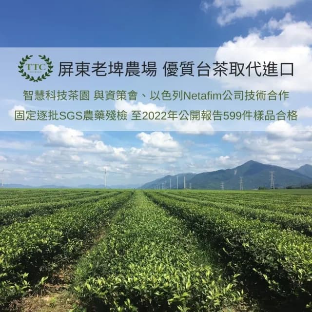 【台灣農林】官方直營 台茶風華 碧螺春綠茶x2盒(天然製材立體茶包2.5gx20入/盒)
