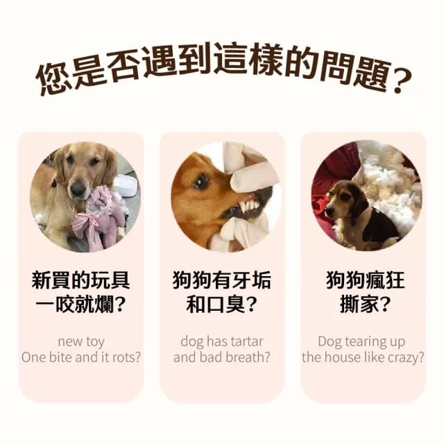 寵物橄欖球耐咬啾啾玩具(耐磨牙 紓壓 潔牙骨 發聲玩具球 彈力玩具 互動訓練球 狗狗玩具 益智 禮物)
