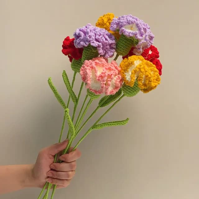 【百獅】編織花 康乃馨 手作花束 媽媽生日禮物(手工編織花 成品手工編織康乃馨花 自制毛線鉤針花)