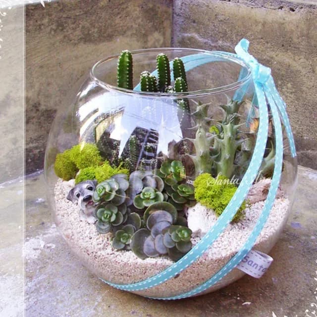 【Santa Ana】10吋玻璃球多肉植物盆栽組合(三種以上不同植栽)