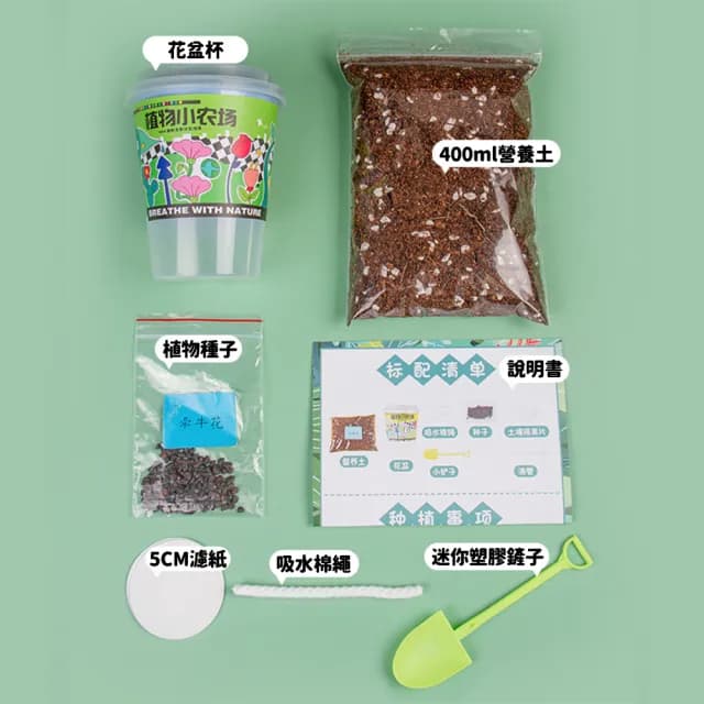 【百獅】大號 種植小盆栽 兒童植物 兒童盆栽(DIY負離子綠植 小盆栽 種植盆栽 幼稚園 國小種植功課)