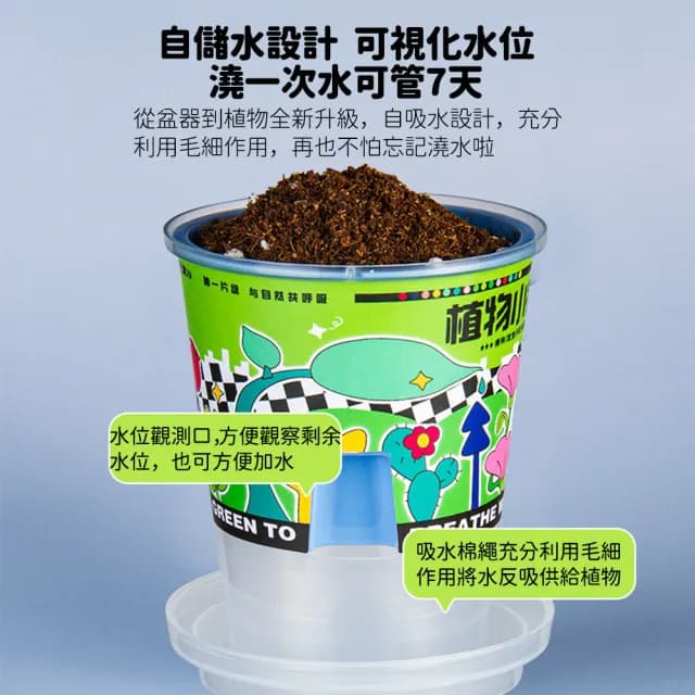 【百獅】大號 種植小盆栽 兒童植物 兒童盆栽(DIY負離子綠植 小盆栽 種植盆栽 幼稚園 國小種植功課)