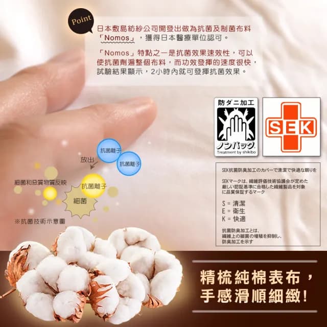 【田中保暖】歐規EN98% 頂級匈牙利羽絨被 極度蓬鬆 純棉防絨布  FP725+ 冬被(雙人6X7尺)