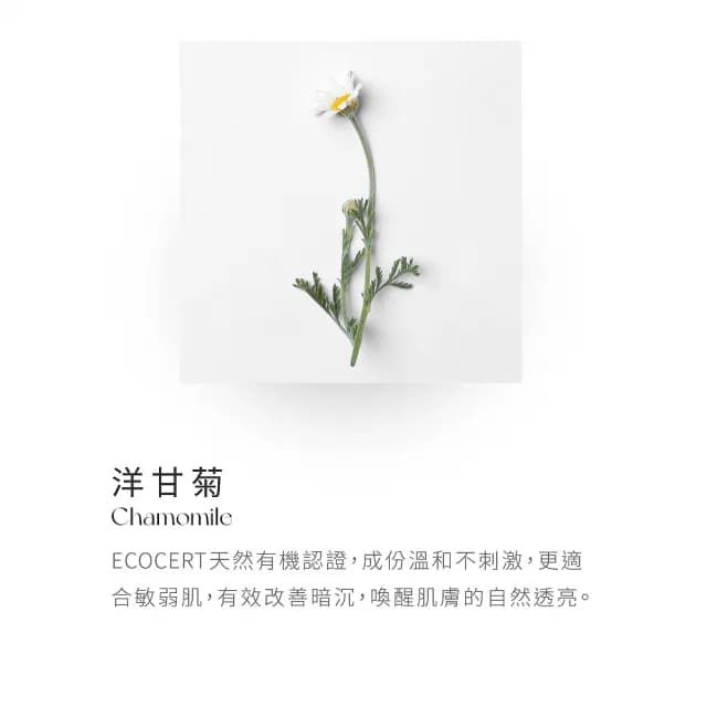 即期品【BEVY C.】即期品-淨潤白潔顏慕斯165mL(40%椰油胺基酸/效期至2026.02)