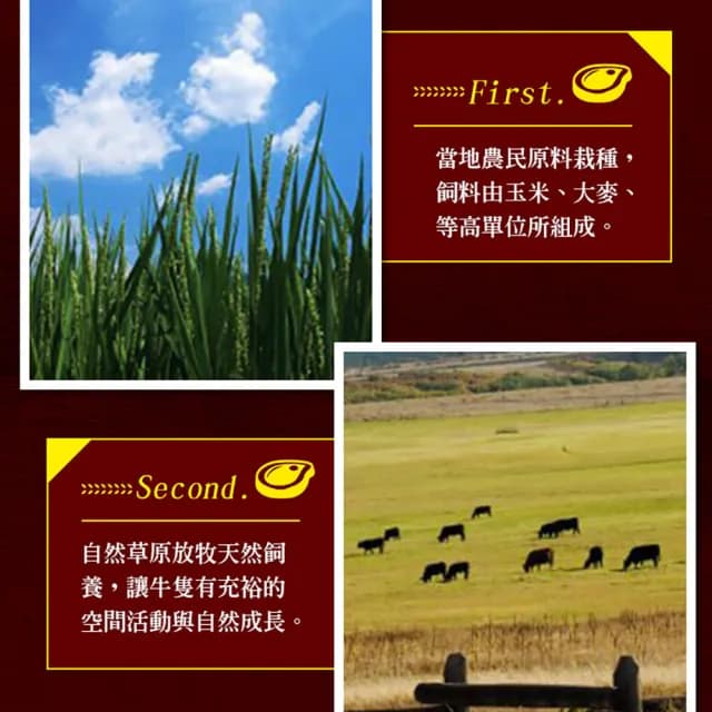 【享吃肉肉】美國藍帶頂級無骨牛小排3包(200g±10%/包 中秋烤肉/燒烤)