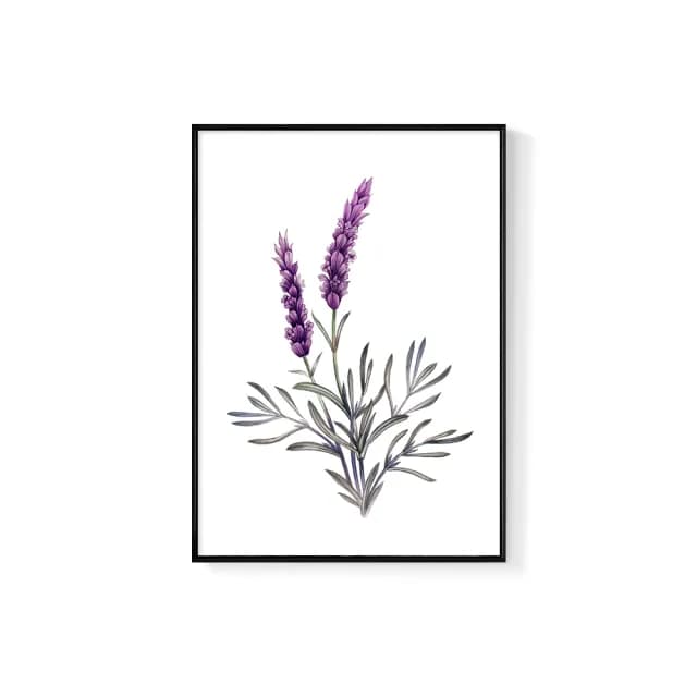 【菠蘿選畫所】紫色浪漫薰衣草-30x40cm(畫/花草植物/盆栽/臥室掛畫/家居佈置/手繪裝飾)