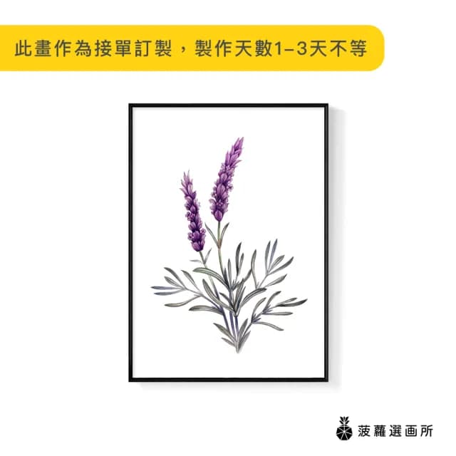 【菠蘿選畫所】紫色浪漫薰衣草-30x40cm(畫/花草植物/盆栽/臥室掛畫/家居佈置/手繪裝飾)