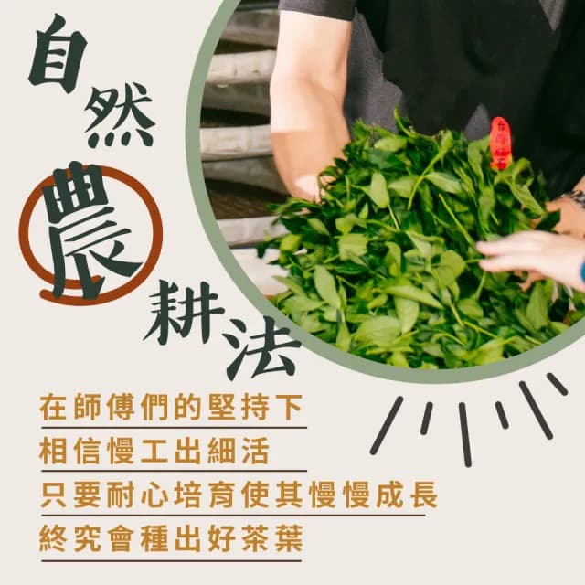 【名池茶業】姚窈金萱烏龍茶葉3種任選150gx8包(共2斤)
