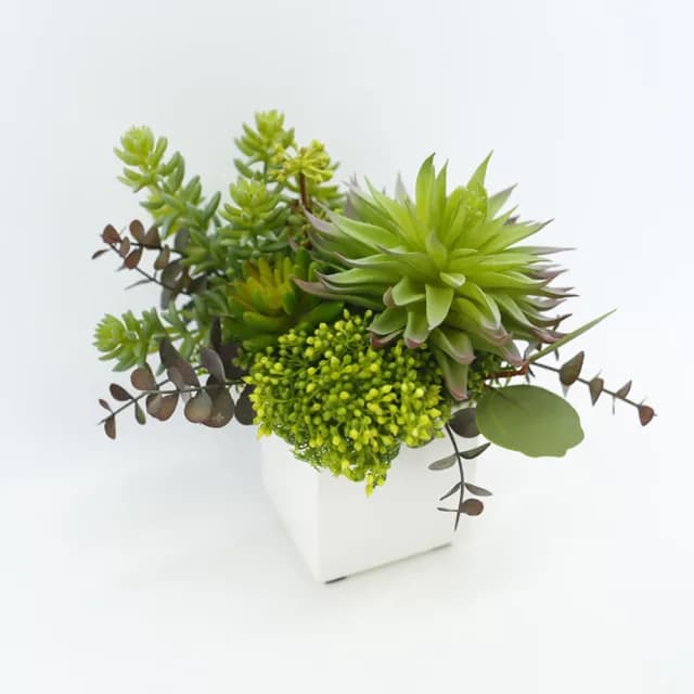 【HUGO DECO 榆果傢飾】松眸玉蓮香氛植栽(擬真植栽/香氛/多肉植物/節慶送禮)