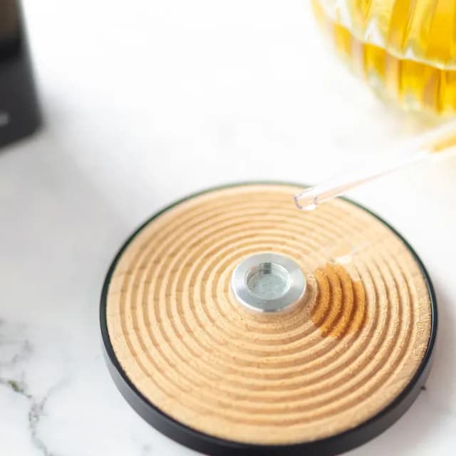 【Mr.sci 賽先生科學】太陽能原木擴香器(兩款)