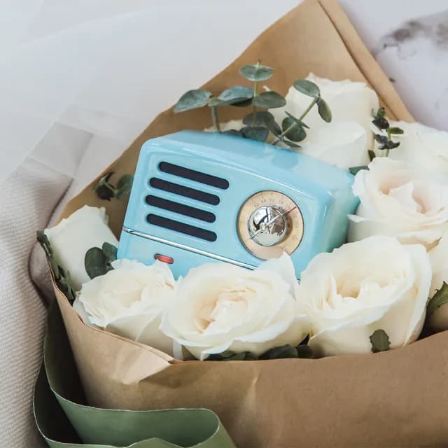 【MUZEN】OTR經典復刻藍牙音響收音機-經典版(不含原廠保護皮套/提背帶 新年禮物   情人節禮物)