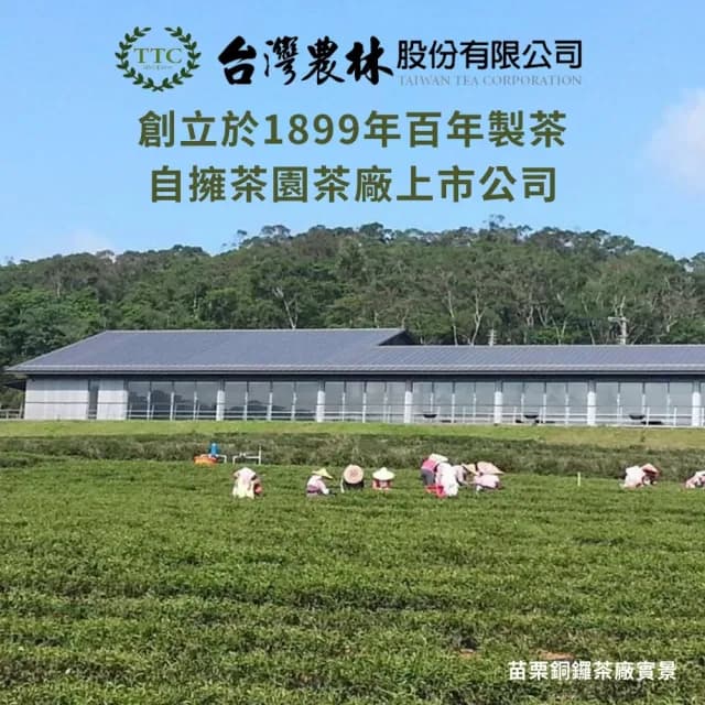 【台灣農林】官方直營 嚴選紅玉紅茶 台茶18號(100g/夾鏈袋包)
