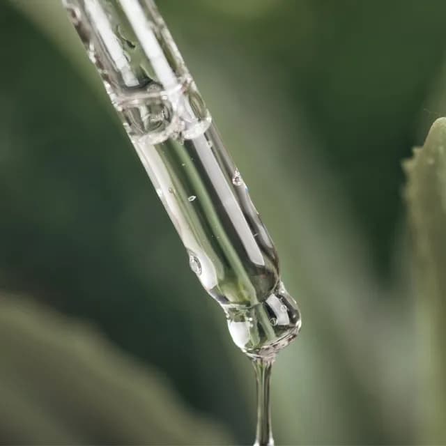【BEVY C.】即期品-毛孔緊緻精華30mL(抗痘調理/油肌推薦/效期至2026.08)