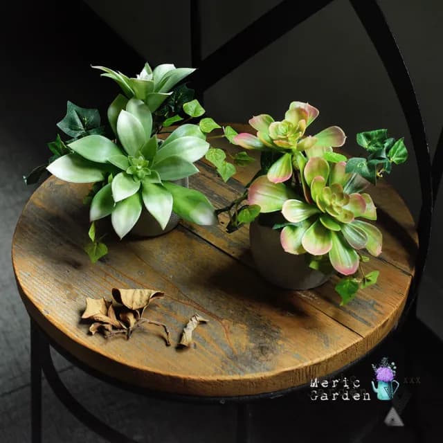 【Meric Garden】高仿真多肉植物療癒手工水泥小盆栽_石蓮