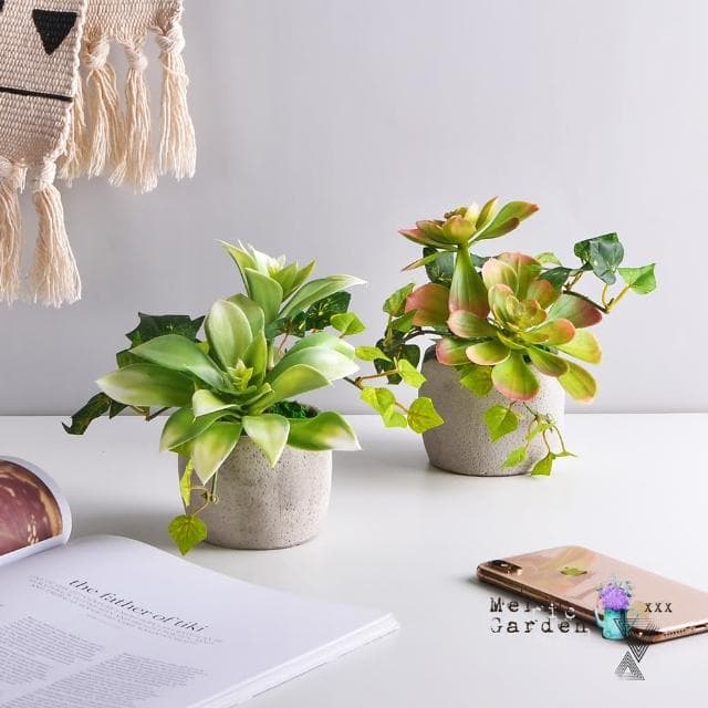 【Meric Garden】高仿真多肉植物療癒手工水泥小盆栽_石蓮