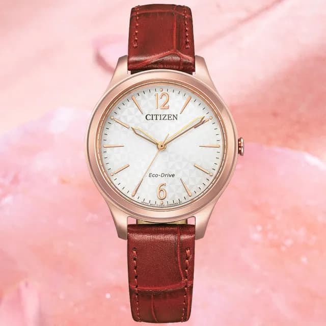 【CITIZEN 星辰】LADYS系列 時尚格紋 光動能腕錶 七夕 情人節 送禮 推薦(EM0508-12A)