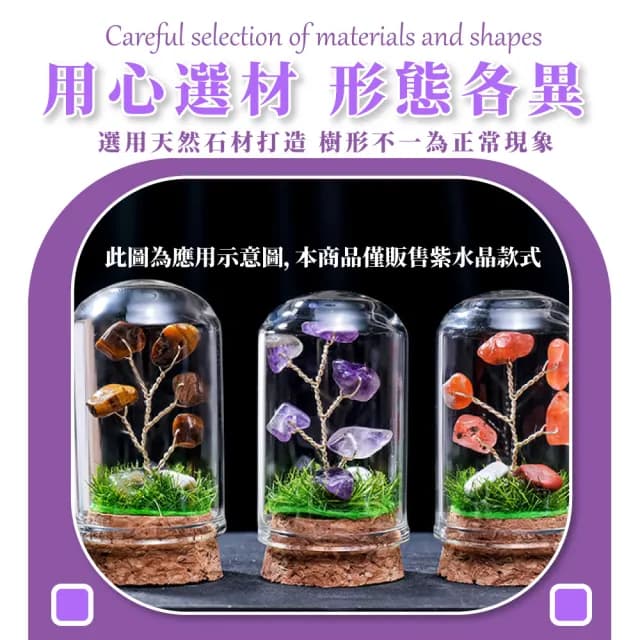 【水晶運勢】紫水晶樹擺飾-附玻璃罩(富貴 開運 智慧水晶 能量水晶 招財 學生 誕生石 辦公室 玄關擺件 禮物)