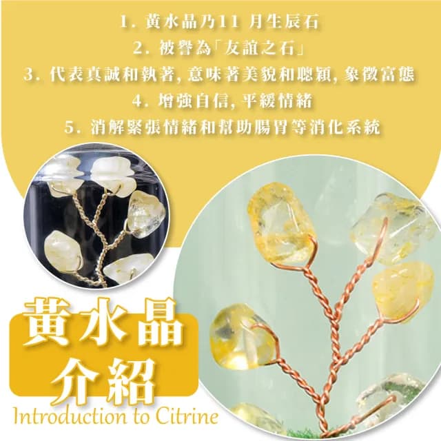 【水晶運勢】天然黃水晶樹擺飾-附玻璃罩(玻璃盅 平安 招財樹 自信 桌面擺件 辦公桌 送禮 禮物 風水)