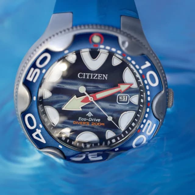 【CITIZEN 星辰】限量 PROMASTER系列 虎鯨光動能潛水錶 手錶 畢業 禮物 推薦(BN0238-02L)