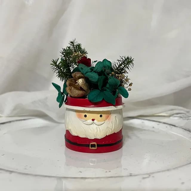 【OSTARA FLORIST 奧斯塔拉花藝】聖誕小盆花/附透明盒(永生花、聖誕節、交換禮物、盆花)