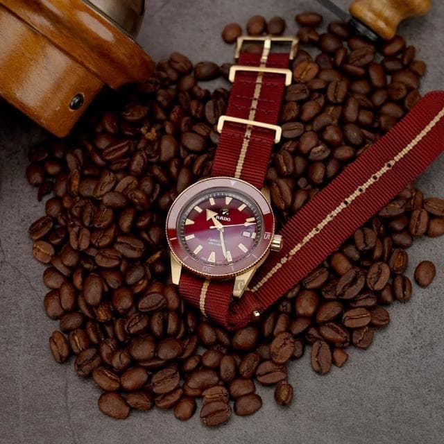 【Rado 雷達表 官方授權】庫克船長青銅自動機械錶-42mm R03推薦 送禮 禮物 推薦(R32504407)