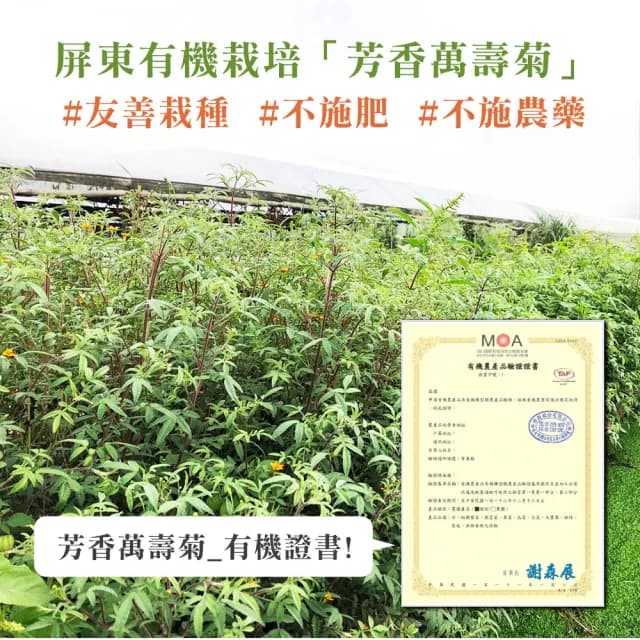 【High Tea】百香菊國寶茶 2.5gx12入x1袋(無咖啡因)