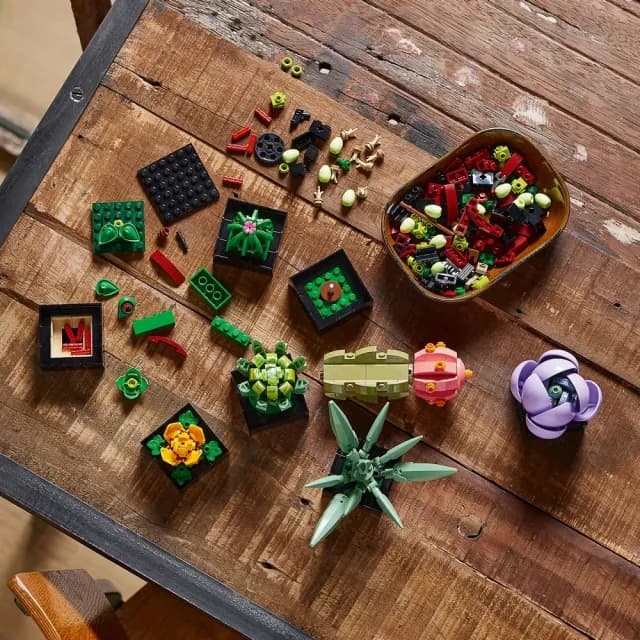 【LEGO 樂高】Botanicals 10309 多肉植物(盆栽 植物 居家擺設 DIY 禮物 母親節禮物)