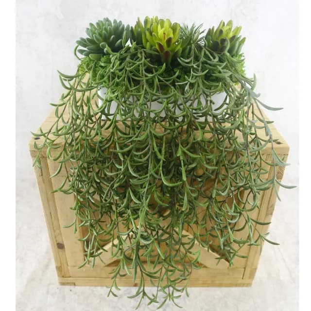 【HUGO DECO 榆果傢飾】高擬真紫弦月藤蔓植栽(擬真植物/禮物/綠化/永不凋零/佈置/蕨類)