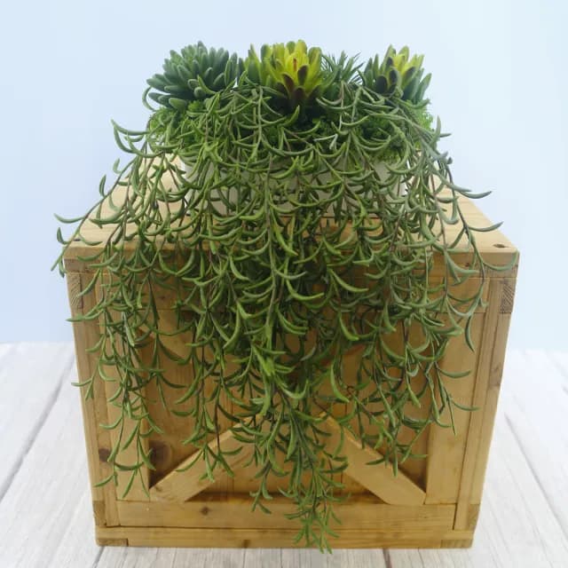 【HUGO DECO 榆果傢飾】高擬真紫弦月藤蔓植栽(擬真植物/禮物/綠化/永不凋零/佈置/蕨類)