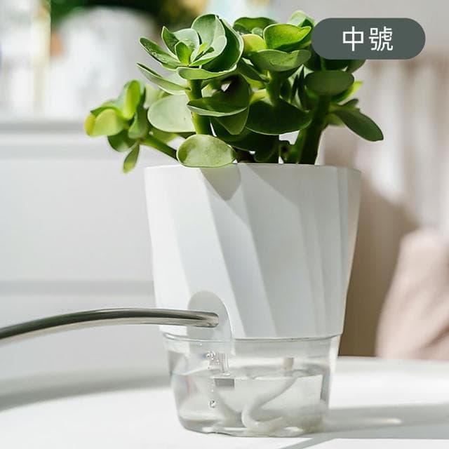 【JOHN HOUSE】帶補水口自動吸水花盆 透明花盆 植物花盆 自動補水盆栽 盆栽容器(中號)