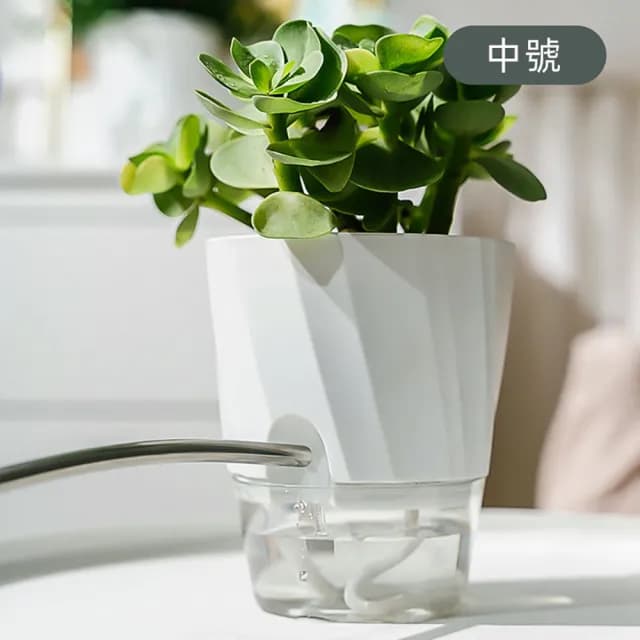 【JOHN HOUSE】帶補水口自動吸水花盆 透明花盆 植物花盆 自動補水盆栽 盆栽容器(中號)