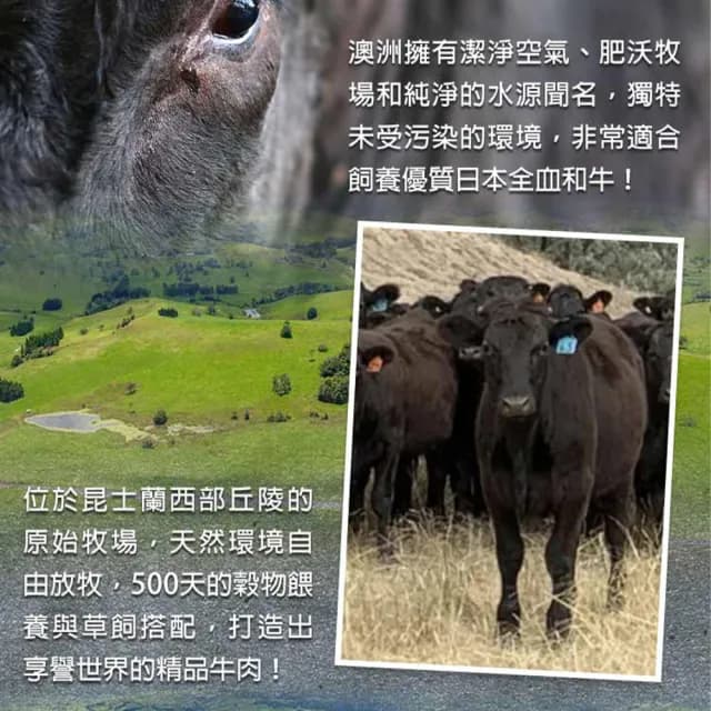 【愛上吃肉】澳洲純血和牛手切橫膈膜3盒(150g±10%/盒 橫膈膜內裙肉/胸腹肉/中秋烤肉/燒烤)