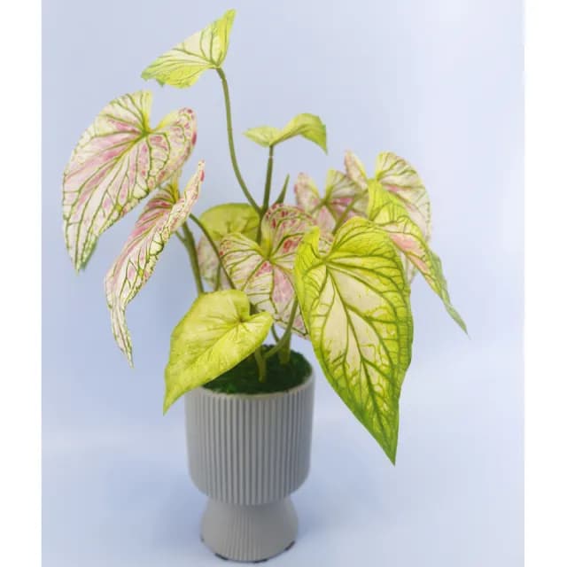 【HUGO DECO 榆果傢飾】高擬真彩芋葉盆栽(仿真植物/觀葉盆栽/人造植物/綠化/佈置)