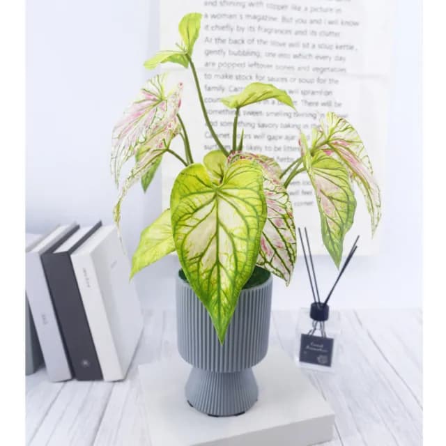 【HUGO DECO 榆果傢飾】高擬真彩芋葉盆栽(仿真植物/觀葉盆栽/人造植物/綠化/佈置)