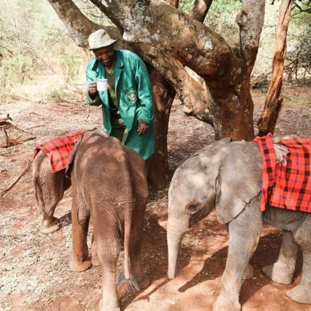 【Williamson Tea】英國威廉森茶-高地肯亞紅茶(原葉罐系列)