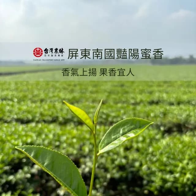 【台灣農林】官方直營 豔陽小葉蜜香紅茶散茶(150g/盒)