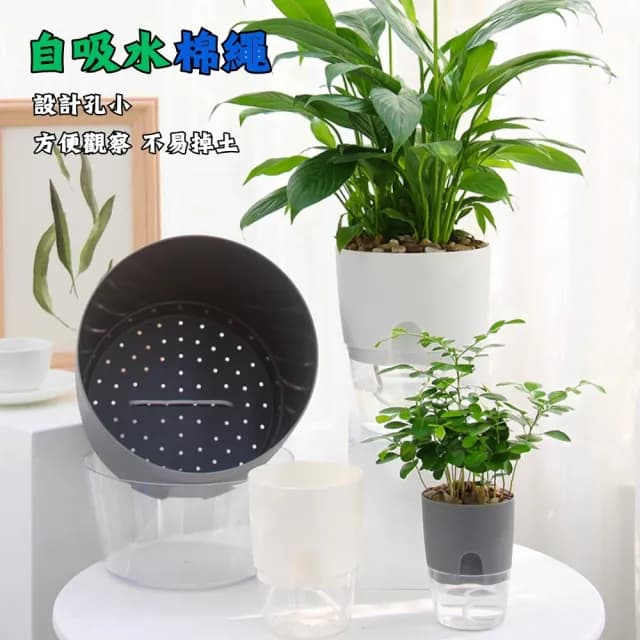 【京太陽】透明自吸水花盆(懶人花盆 自動澆水 吸水花盆 透明花盆 盆栽 植物花盆)