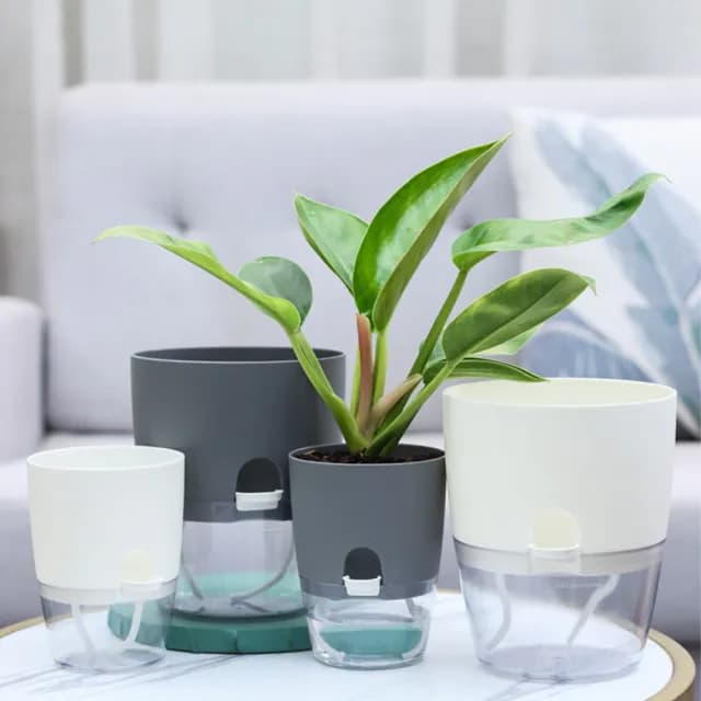 【品屋】透明自吸水花盆2.46吋A703(懶人花盆 自動澆水 吸水花盆 透明花盆 盆栽 植物花盆)