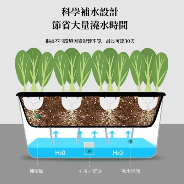 【京太陽】單層種菜盆-無輪子(種植盆 花盆 栽培盆 植物盆 養菜盆 蔬菜盆栽)