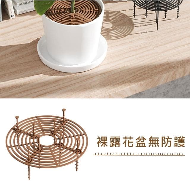 【花盆墊片】可裁剪花盆護土保護網罩(防倒 防貓狗 護土欄 園藝 盆栽墊片 多肉 觀葉 植物)