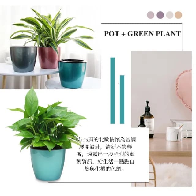 【京太陽】綠蘿花盆黑白色(植物盆 陽台花盆 盆栽 自動澆水花盆)