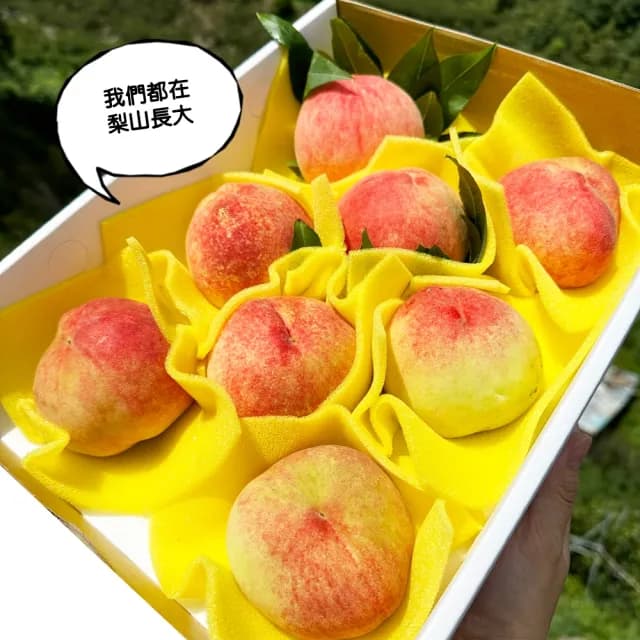 【94愛吃】梨山A級水蜜桃6粒禮盒(6-7兩/粒)(中秋禮盒)