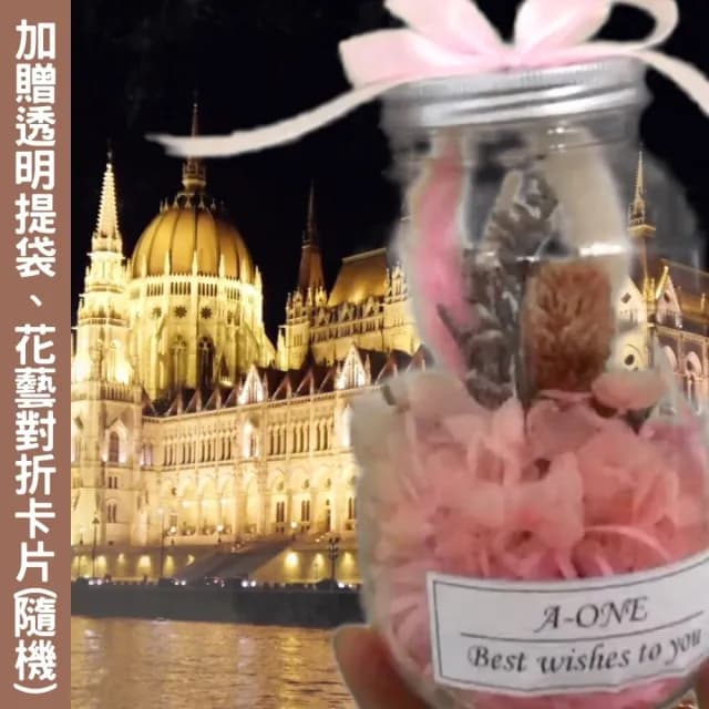 【A-ONE 匯旺】情人節花束 粉兔尾草 不凋花瓶 永生花 生日七夕 聖誕節 告白畢業禮物婚禮 情人節乾燥花