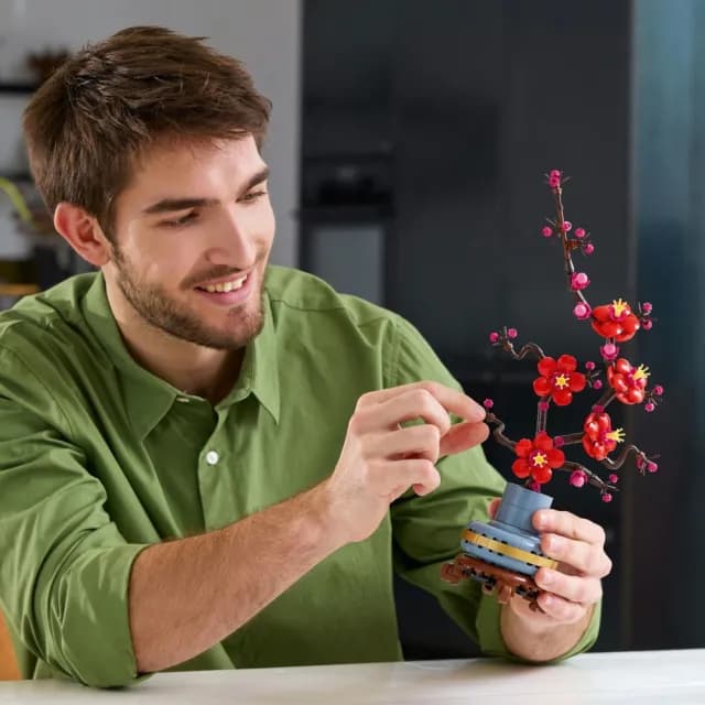 【LEGO 樂高】Botanicals 10369 梅花(花藝植栽 居家擺設 送禮推薦 母親節禮物)