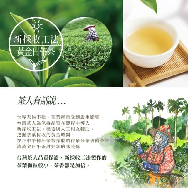 【台灣茶人】梨山清韻風味烏龍150GX8包(共2斤)