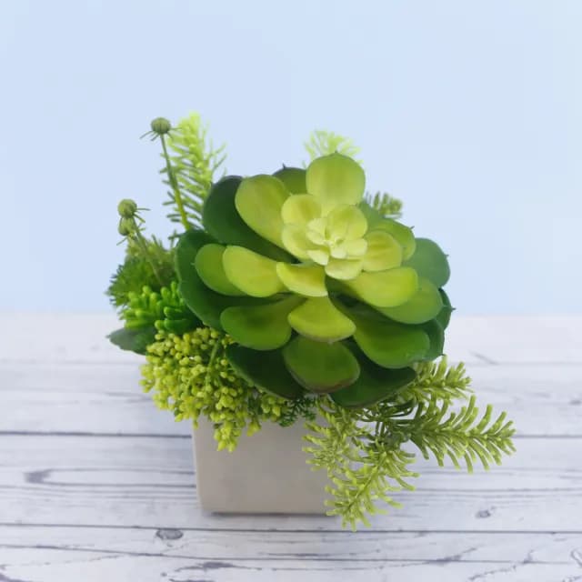 【HUGO DECO 榆果傢飾】大寶石蓮諾貝松香氛植栽(擬真植物/人造盆栽/綠化/佈置/禮物)