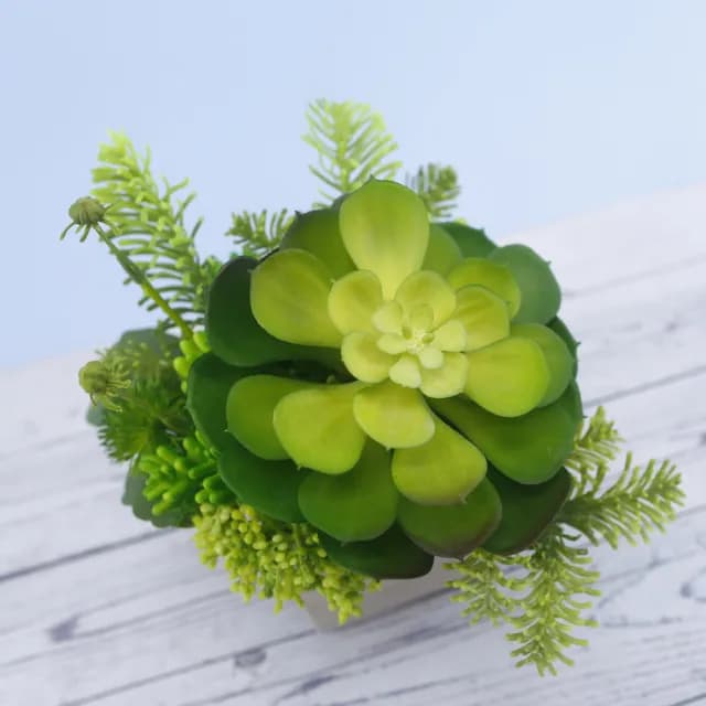 【HUGO DECO 榆果傢飾】大寶石蓮諾貝松香氛植栽(擬真植物/人造盆栽/綠化/佈置/禮物)