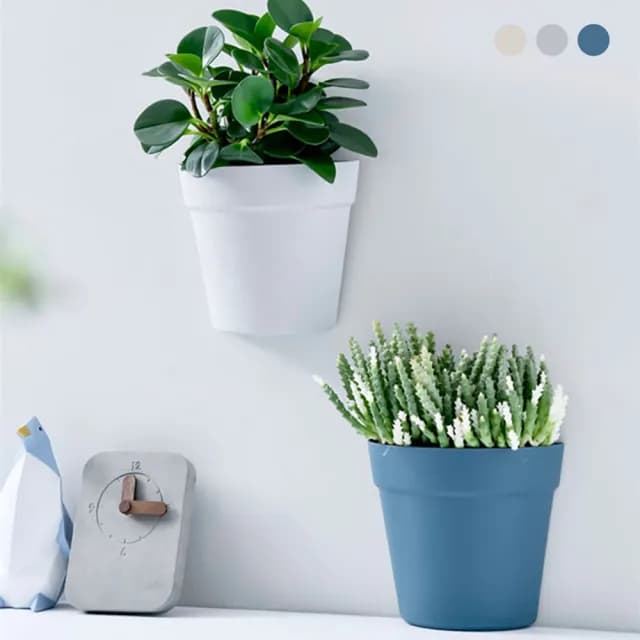 【JOHN HOUSE】免釘貼壁掛花盆 免打孔 北歐風牆面花盆 懸掛花盆 多肉植物花盆(壁掛盆栽)