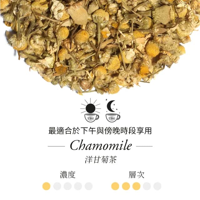 【TWG Tea】手工純棉茶包 洋甘菊茶 15包/盒(Chamomile ;洋甘菊茶)